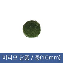 마리모 단품 중(10mm), 1개
