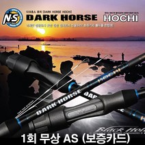 NS 엔에스 다크호스 호치 2탑 루어낚시대 호레기 풀치 보증카드 [그린피싱], 1.NS 다크호스 호치 S-732-ST