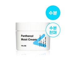 티암 판테놀 모이스트 크림 50ml TIAM Panthenol Moist Cream 보습크림 수분폭탄 속건조, 1개