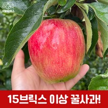 굿띵파머스 경북 부사 흠과 꿀사과 햇사과 가정용 3kg 6kg 10kg, 선물용5kg(16과)