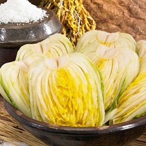 순맑은김치 절임배추 5kg, 단품