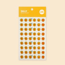 라인프렌즈 에폭시 스티커_샐리