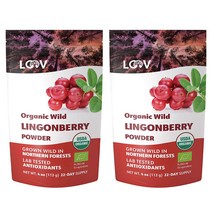 LOOV 루브 유기농 와일드 링곤베리 파우더 113g 2팩, 2개