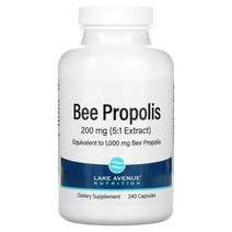 레이크에비뉴 프로폴리스 1000mg 240베지캡슐, 1개, 기본