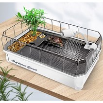 거북이 아크릴 어항 반수생 쉼터 수족관 구피 키우기 소형 대형 특대형, 03.어항 세트(조명 제외), 그린