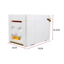 여왕벌 양봉짝짓기 벌집 양봉 수확 수분 벌집 상자 예비 양봉가를 위한 꿀 양봉 비, 01 WHITE