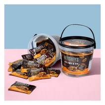 허쉬 초콜릿칩 쿠키 400g (통)