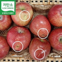 저탄소인증 GAP 친환경 산지직송 경북 영주 사과 부사 못난이부사 엔부사과 속빨간사과 시나노골드사과, 못난이3Kg