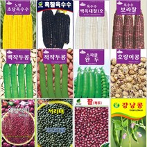 옥수수/콩류 씨앗 모음 초당옥수수 작두콩 강낭콩 서리태, 3.노랑초당옥수수 400g