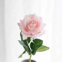 7 pcs 리얼 터치 장미 지점 줄기 라텍스 장미 손 느낌 시뮬레이션 장식 인공 실리콘 장미 꽃 홈 웨딩, 분홍 장미