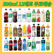 500ml 페트 12병 탄산 커피 과일 이온 음료 음료수, 암바사 500mlx12병