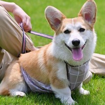 강아지 배가리개 닥스훈트 웰시코기 우비 비옷 앞치마 개우비, Sㅡ브라운