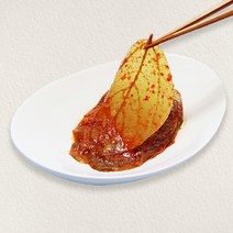산마을농장 노란 단풍 삭힌 양념콩잎김치 장아찌, 500g x 1개