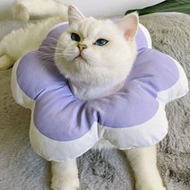 고양이 수술 후 방수 쿠션 꽃모양 넥카라 푸들 애견, 노랑(M)