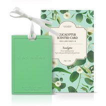 코코도르 솔리드 고체형 퍼퓸 디퓨저 / 옷장용 실내용 방향제 / 카드형, 고체형/카드/유칼립투스, 1개