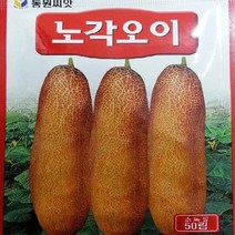 [가람종묘사] 노각오이 씨앗(재배가 용이하고 수량성이 높은 맛 좋은 품종)