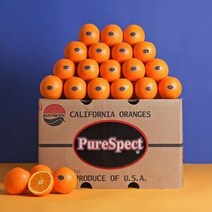 갤러리아 퓨어스팩 블랙라벨 오렌지15과중소과 194409