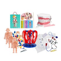 캐스비 [수학자연탐구] 인체탐구닥터세트(1568set), 단품없음