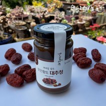 숙이네농원 보은대추 수제대추청 대추고, 250g, 1개입, 1개