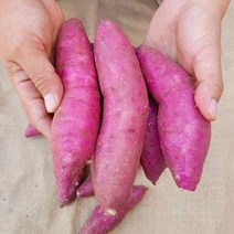 2022년 햇밤고구마 호박고구마 꿀고구마 3kg 5kg 10kg, 긴상 3kg, 1개