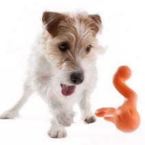 웨스트포우 노즈워크/아이큐 강아지장난감 티지 Small, 02.그린, 상세설명 참조