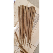 국산 진주 무농약 우엉 2kg (특) 아삭아삭 식감 향긋함 우엉조림 햇우엉 친환경 우엉즙 볶은 우엉차 티백 말린 우엉채, 1개
