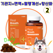 펫생각 기관지영양제 협착증 리얼배도라지 기침 건강 관리 항염 면역력 항산화 혈행개선, 2개