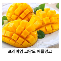 프리미엄 애플망고 2과 4과 1박스(4kg) 과일의 여왕 풍부한 단맛 풍부한 비타민 항공직송 무지개망고 열대과일 태국망고, 4과(개당 약 360~400g)