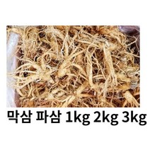 수삼 파삼 막삼 가정용 인삼 파삼 1kg 못생긴인삼 막삼 대용량, 파삼1kg