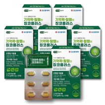 징코플러스 기억력개선 혈액순환 은행잎추출물 플라보노이드 코오롱제약, 30정X6박스