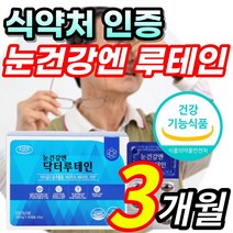 식약처 인증 침침한 흐릿한 눈 노화 건강 도움 루테인 루태인 뉴테인 누태인 뷰테인 마리골드꽃 황반색소밀도 비타민A 비타민E 결명자 블루베리 포도 종자 함유 + 알 약 케이스증정, 3개월 / 1개