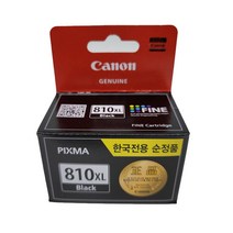 캐논 PIXMA MP287 정품잉크 대용량 검정 15ml (PG-810XL), 1개