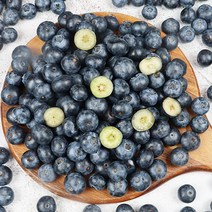 소문난 블랙푸드 톡톡 터지는 식감 수입 생 블루베리 500g 1kg, 500g(125g x 4팩), 4개
