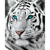 복복샵 보석십자수 40x50 캔버스형 풍경 동물, 복28. 청안백호