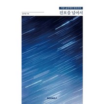 진보를 넘어서, 김주영 저, BOOKK(부크크)