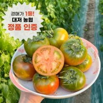 [정품인증] 최상급 대저 짭짤이 토마토 백화점납품용 로얄과 산지직송 짭짜리 못난이, 프리미엄 2S-S 사이즈 2.5kg (백화점 납품용)