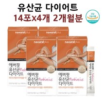 다이어트 유산균 가르시니아 김치유래유산균 락토바실러스 가루 분말 스틱 2개월분