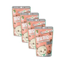 캐츠랑저요저요 고양이 보양간식 60g, 연어, 4개
