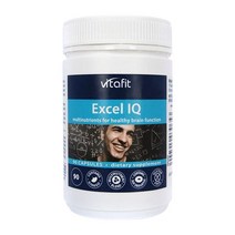 비타핏 엑셀 아이큐 징코빌로바 진생 타우린 포스파티딜세린 90정 VITAFIT EXCEL IQ, 1개