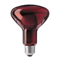 필립스 의료용 적외선 램프 100W-R95 IR 원적외선 병원 물리치료기 전구, 1개
