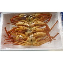 죽도 일등수산 국내산 살수율 좋은 대게 수율 95%이상 선별 1kg, 1kg(수율 95%이상) (+35000원), 1개