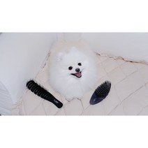 강아지 털갈이 빗 소형견 말티즈 포메 푸들 엉킨털 죽은털 제거 엘아미고 브러쉬 모음, 단품, 민트펄