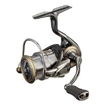 다이와 21 루비아스 에어리티 FC LT2000S-H