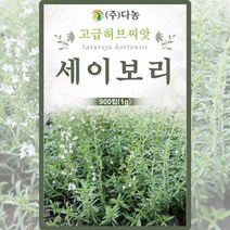 세이보리 씨앗 세이보리 씨 허브 종자 900립