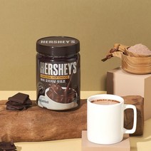 허쉬 오리지날 핫초코 450g x 2개