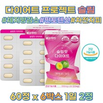 여성 여친 중년 학생 뱃살 술배 똥배 다이어트 보조제