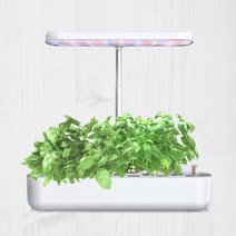 LED 수경재배기 식물재배기 가정용스마트팜 식물키우기 쌈채소 야채 꽃 재배 씨앗 영양제, 3구