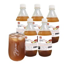정옥 하동 전통방식 수제 식혜 수정과 쌍화차 전통음료 HACCP인증시설제조, 2.수정과500ml 5병, 500ml, 5개