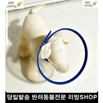 반려동물목보호대 반려동물용품 강아지고관절수술 애견깔대기 개용품, 1개, 낱개