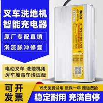 지게차 충전기 전동 바닥 세탁기 스태커 리프트 12V24V15A20A 관광 자동차 배터리, 8.12V20A 유지 관리가 필요 없는 배터리 악어 클